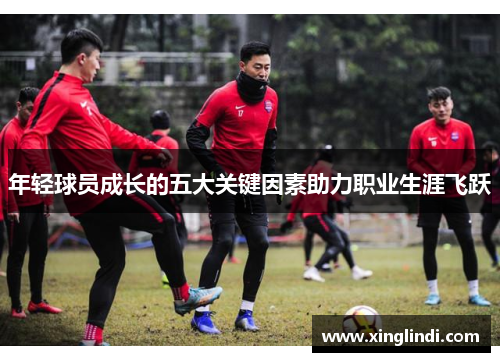 年轻球员成长的五大关键因素助力职业生涯飞跃 年轻球员成长的五大关键因素助力职业生涯飞跃