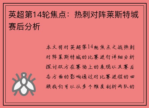 英超第14轮焦点：热刺对阵莱斯特城赛后分析